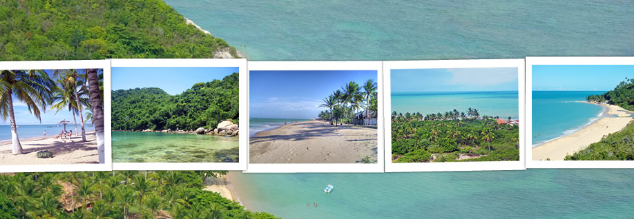 Brazil Beach Travel header